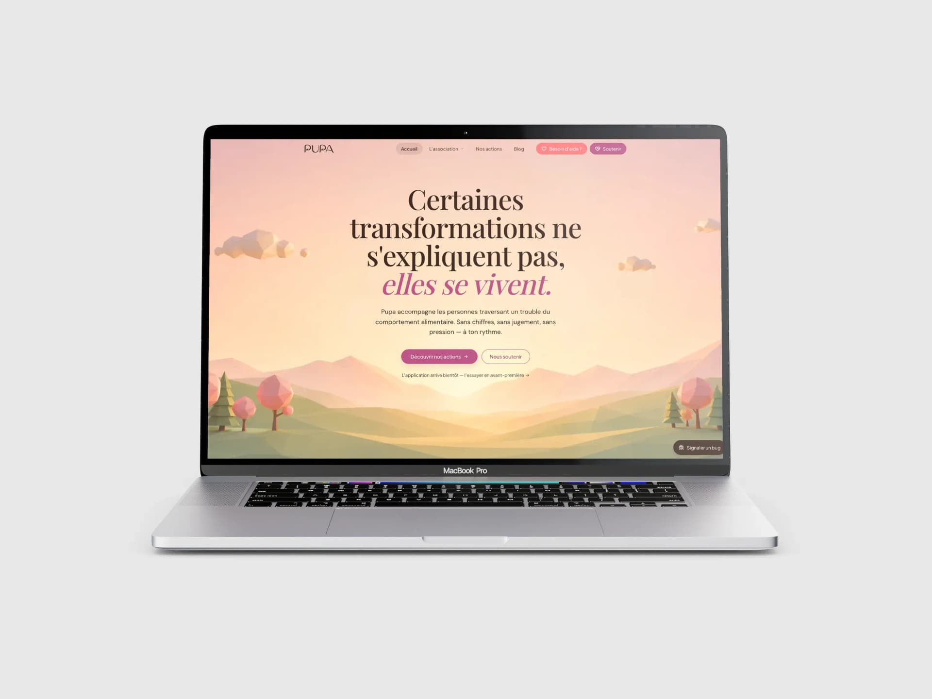 image de site de PUPA